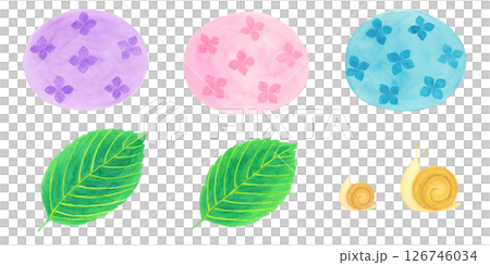 繡球花、樹葉和蝸牛的水彩插圖 繡球花、樹葉和蝸牛的水彩插圖 126746034