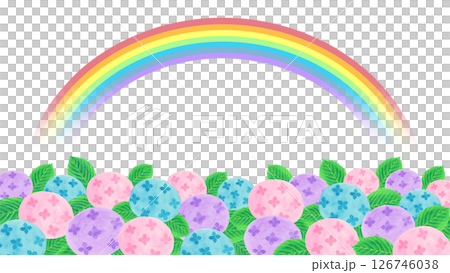 七色の虹とアジサイの背景イラスト 七色の虹とアジサイの背景イラスト 126746038