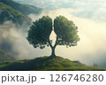 Tree with a crown shaped like lungs, standing alone in the mountains on a foggy morning. Trees that produce oxygen 126746280