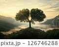 Tree with a crown shaped like lungs, standing alone in the mountains on a foggy morning. Trees that produce oxygen 126746288