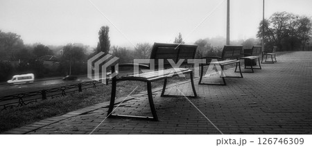 black and white landscape in the park 126746309