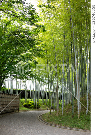 日本庭園-4 日本庭園-4 126746359