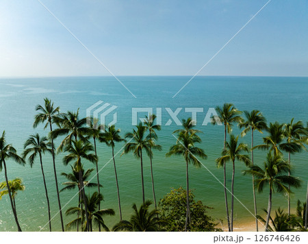Row of tall palm trees with turquoise sea and sunny skies creating a tranquil coastal view. Koh Samui, Thailand. 126746426