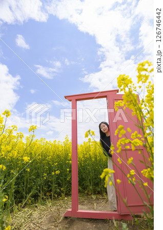 満開の菜の花畑を観光する女性(ピンクのドア) 満開の菜の花畑を観光する女性(ピンクのドア) 126746442