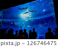 水族館 美しい大水槽 水族館 美しい大水槽 126746475