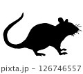 ねずみ 126746557