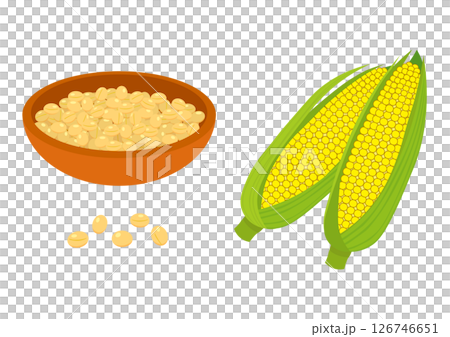 大豆とトウモロコシ 126746651
