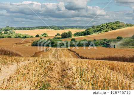 Kaliningrad, RUSSIA - July 27, 2022: Deutz-Fahr combine harvester cutting through tall rapeseed field Kaliningrad, RUSSIA - July 27, 2022: Deutz-Fahr combine harvester cutting through tall rapeseed field 126746716