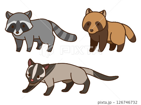害獣のイラストセット(アライグマ・タヌキ・ハクビシン) 害獣のイラストセット(アライグマ・タヌキ・ハクビシン) 126746732