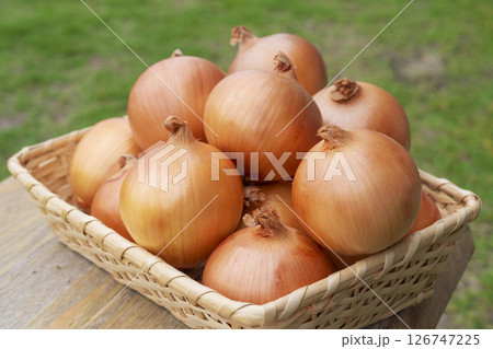 淡路島玉ねぎ 126747225