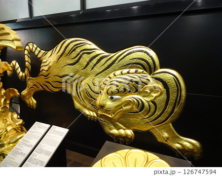 大阪城天守閣の伏虎(展示) 大阪城天守閣の伏虎(展示) 126747594