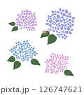 かわいい紫陽花のイラスト 126747621