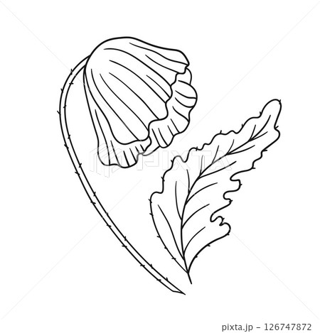 Illustration in hand draw style. Icon, sign, sticker, pin, logo Illustration in hand draw style. Icon, sign, sticker, pin, logo 126747872