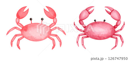 可愛いカニの水彩画イラスト、セット素材 126747950