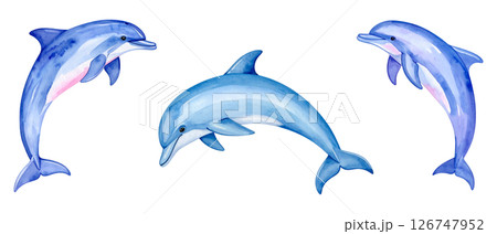 イルカの水彩画イラスト、セット素材 126747952