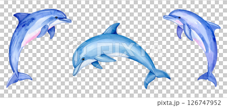 イルカの水彩画イラスト、セット素材 126747952