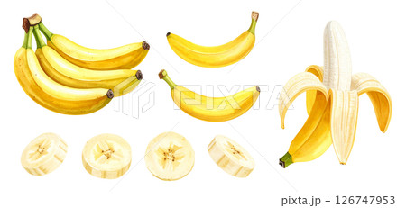 バナナの水彩画イラスト、セット素材 バナナの水彩画イラスト、セット素材 126747953