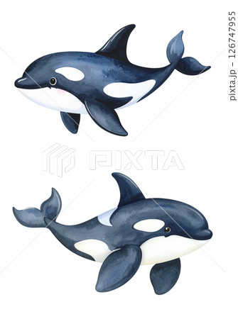 シャチの水彩画イラスト、セット素材 126747955