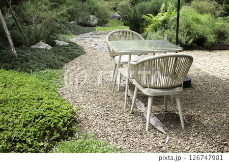 Summer garden with blooming flowers Summer garden with blooming flowers 126747981