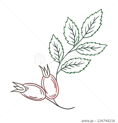 Illustration in hand draw style. Icon, sign, sticker, pin, logo Illustration in hand draw style. Icon, sign, sticker, pin, logo 126748216