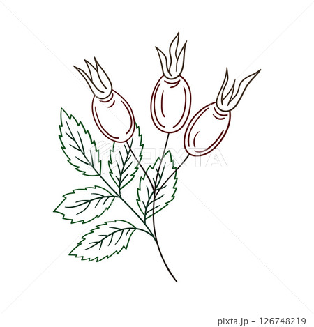 Illustration in hand draw style. Icon, sign, sticker, pin, logo Illustration in hand draw style. Icon, sign, sticker, pin, logo 126748219