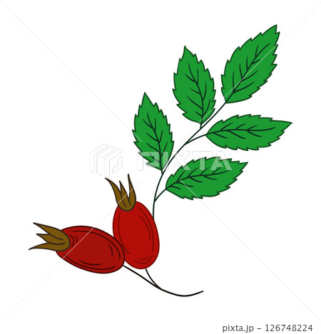 Illustration in hand draw style. Icon, sign, sticker, pin, logo Illustration in hand draw style. Icon, sign, sticker, pin, logo 126748224