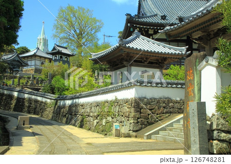 寺院と教会の見える風景 平戸市 寺院と教会の見える風景 平戸市 126748281