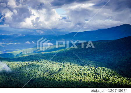 森林 森林 126748674