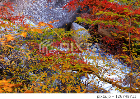 国の特別名勝　昇仙峡荒川源流の紅葉 126748713