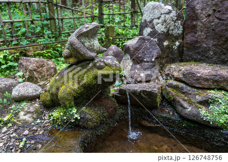 Frog fountain on Higashiyama Walking Course in Takayama, Japan Frog fountain on Higashiyama Walking Course in Takayama, Japan 126748756