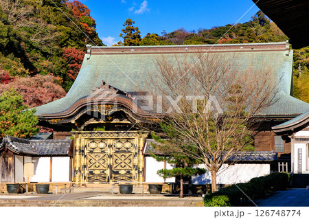 鎌倉 建長興国禅寺の唐門 鎌倉 建長興国禅寺の唐門 126748774