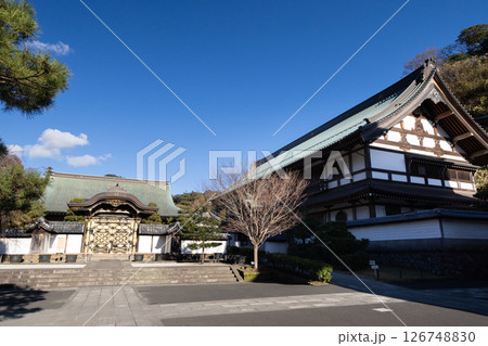 鎌倉 建長興国禅寺法堂と唐門 鎌倉 建長興国禅寺法堂と唐門 126748830