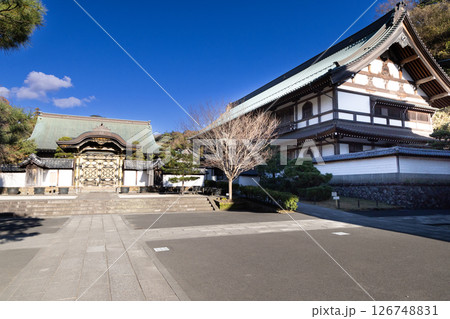 鎌倉 建長興国禅寺法堂と唐門 鎌倉 建長興国禅寺法堂と唐門 126748831