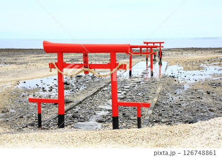 大魚神社の海中鳥居 大魚神社の海中鳥居 126748861