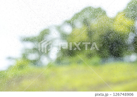 雨の日 公園 森 山 梅雨 初夏 天気 雨 5月 6月 126748906