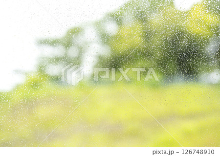 雨の日 公園 森 山 梅雨 初夏 天気 雨 5月 6月 126748910