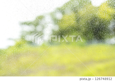 雨の日 公園 森 山 梅雨 初夏 天気 雨 5月 6月 雨の日 公園 森 山 梅雨 初夏 天気 雨 5月 6月 126748912