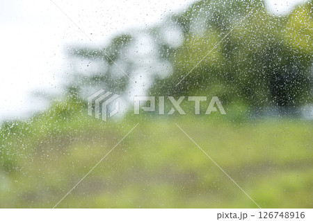 雨の日 公園 森 山 梅雨 初夏 天気 雨 5月 6月 雨の日 公園 森 山 梅雨 初夏 天気 雨 5月 6月 126748916