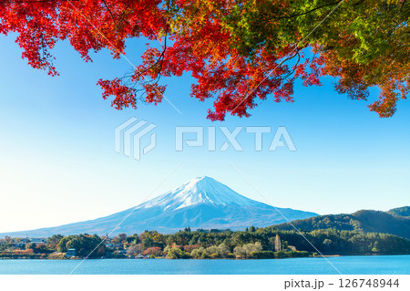 秋の富士山・河口湖の紅葉 126748944
