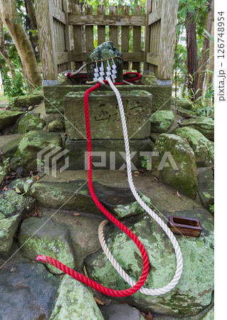 おのころ島神社の鶺鴒石 126748954