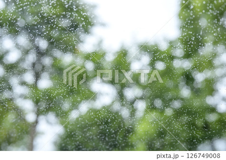 雨の日 公園 森 山 梅雨 初夏 天気 雨 5月 6月 126749008