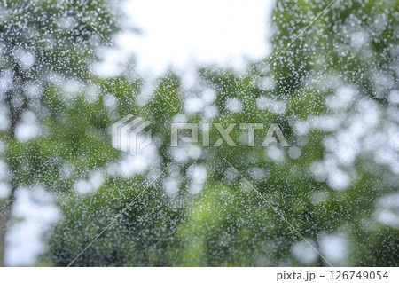 雨の日 公園 森 山 梅雨 初夏 天気 雨 5月 6月 126749054