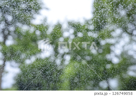 雨の日 公園 森 山 梅雨 初夏 天気 雨 5月 6月 雨の日 公園 森 山 梅雨 初夏 天気 雨 5月 6月 126749058