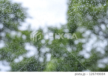 雨の日 公園 森 山 梅雨 初夏 天気 雨 5月 6月 126749084
