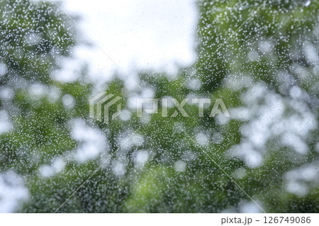 雨の日 公園 森 山 梅雨 初夏 天気 雨 5月 6月 126749086