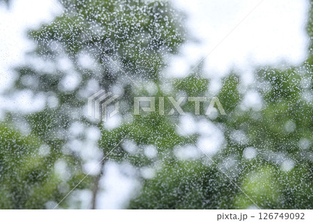 雨の日 公園 森 山 梅雨 初夏 天気 雨 5月 6月 126749092
