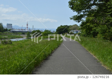 水辺の道 東京郊外 日野市 水辺の道 東京郊外 日野市 126749216