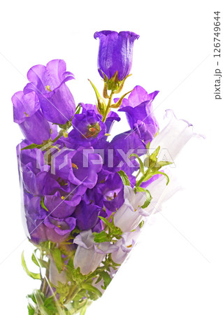 カンパニュラの花束 126749644