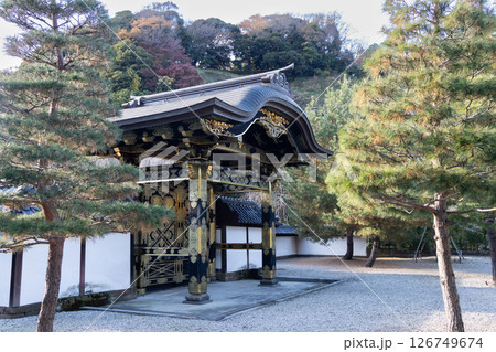 鎌倉　建長興国禅寺の唐門 126749674