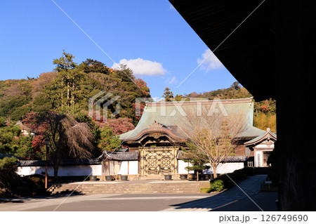 鎌倉　建長興国禅寺の唐門 126749690